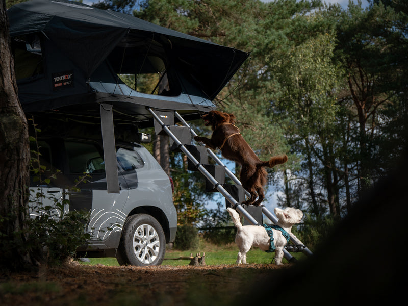 Tentbox Scala a gradini