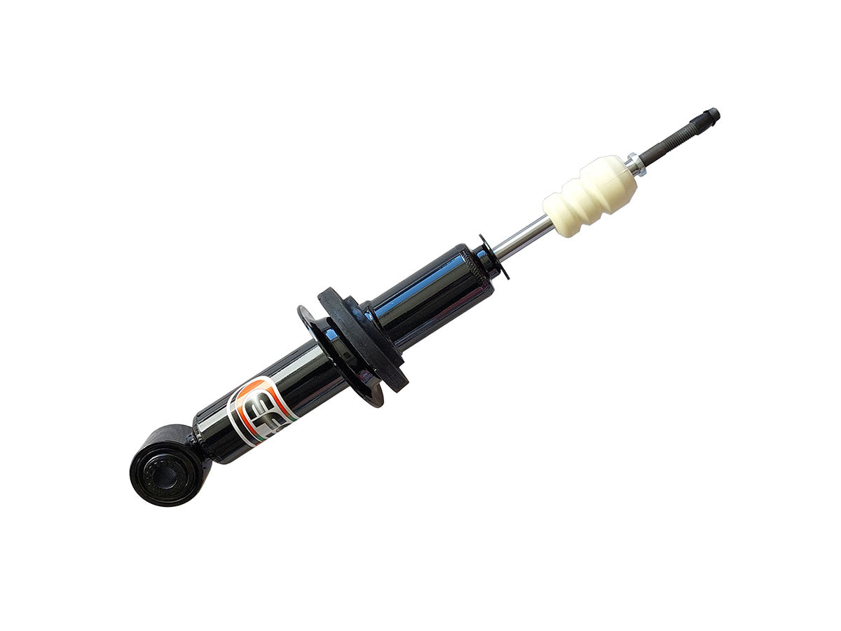 Ammortizzatore anteriore EFS ELITE (foto rappresentativa della gamma)