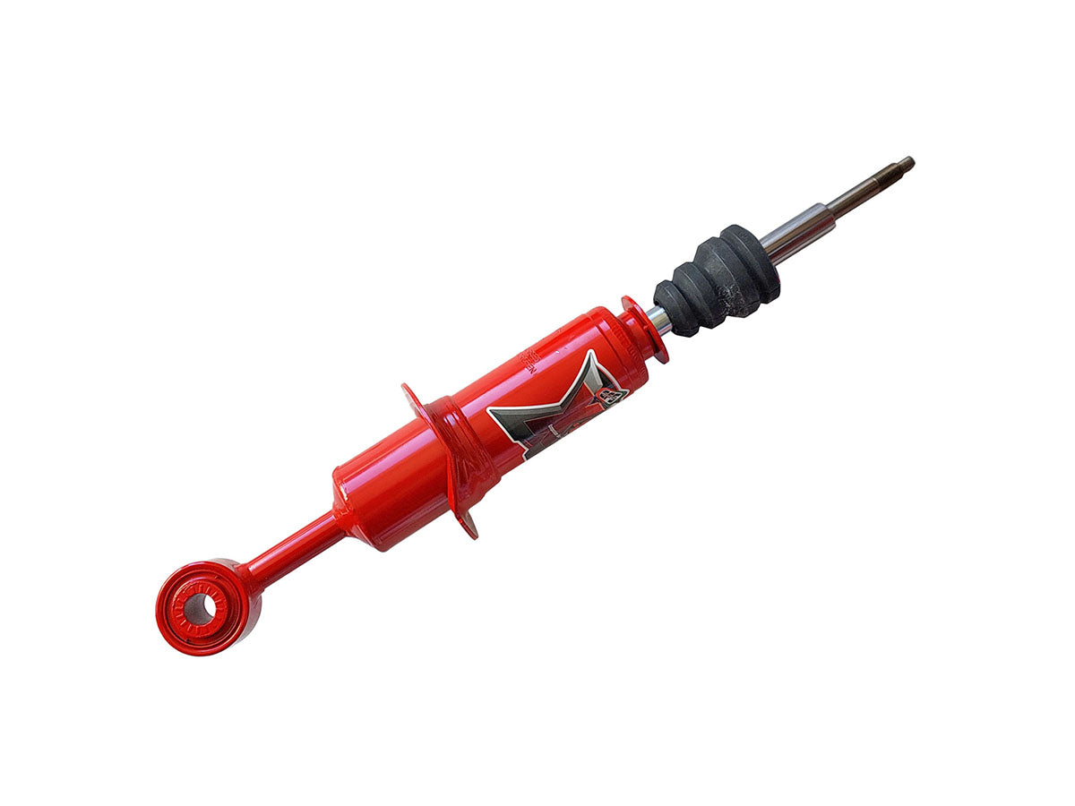 Ammortizzatore anteriore EFS X-TREME (foto rappresentativa della gamma)