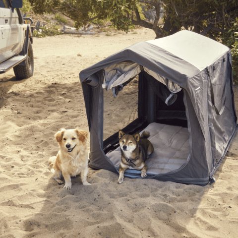 Dometic K9 80 AIR-Casa para perros inflable 