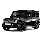 MERCEDES BENZ G SERIES 252-Serie G - W461/PUR Piastra paramotore anteriore professionale