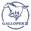 GALLOPER GALLOPER 472 - Protector protector delantero para paragolpes original