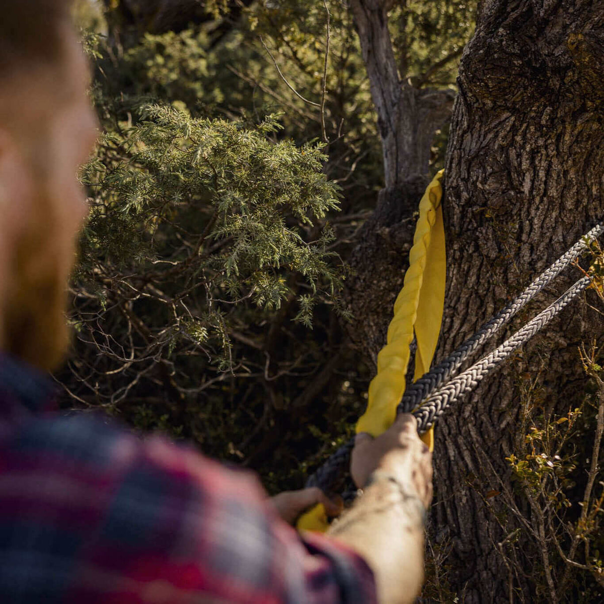 Prolunga e cinghia per albero Horntools