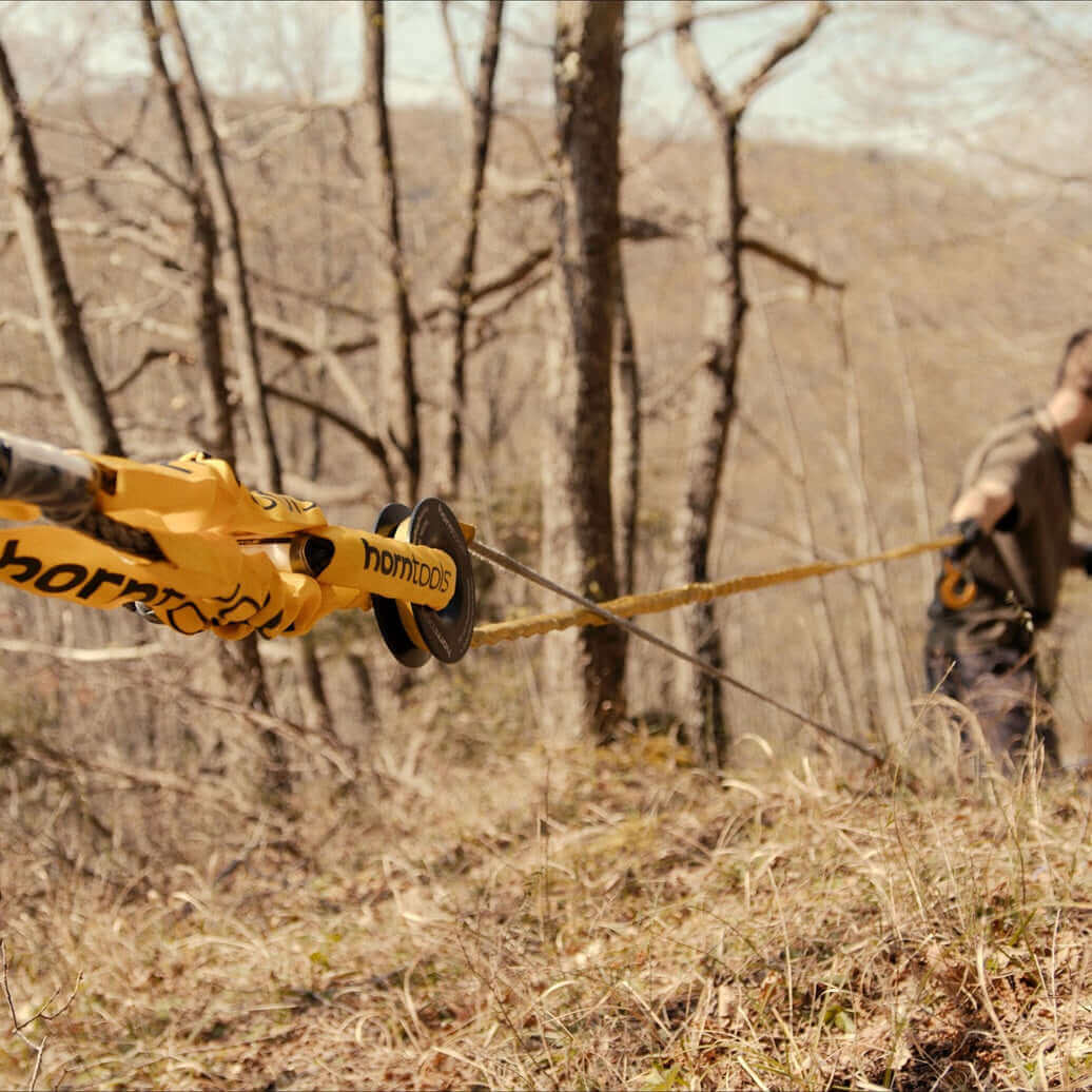 Prolunga e cinghia per albero Horntools