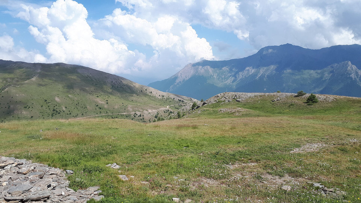Praterie d'alta quota lungo la strada dell'Assietta