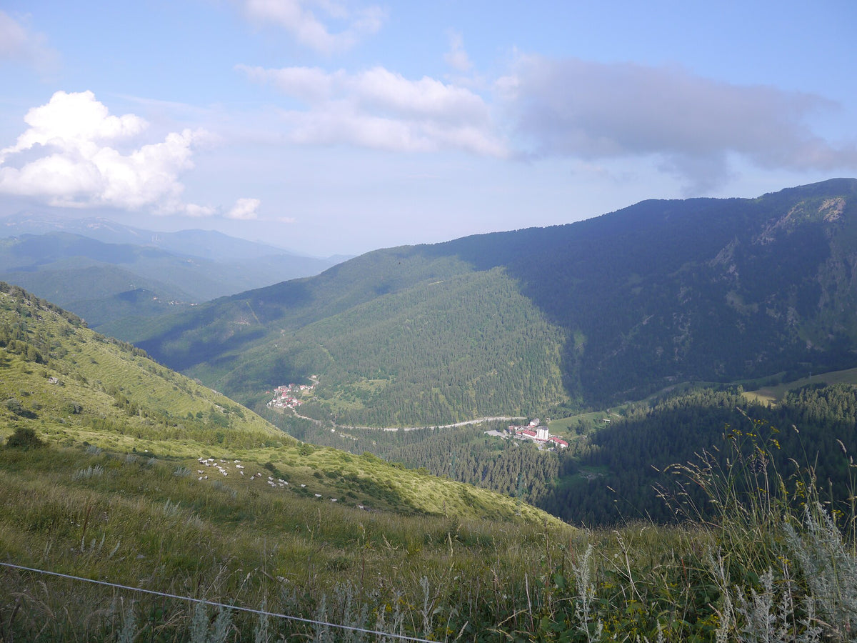 Monesi di Triora e l'alta Valle Tanaro