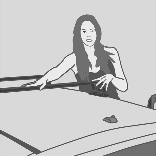 Barre portatutto AutoHome – illustrazione