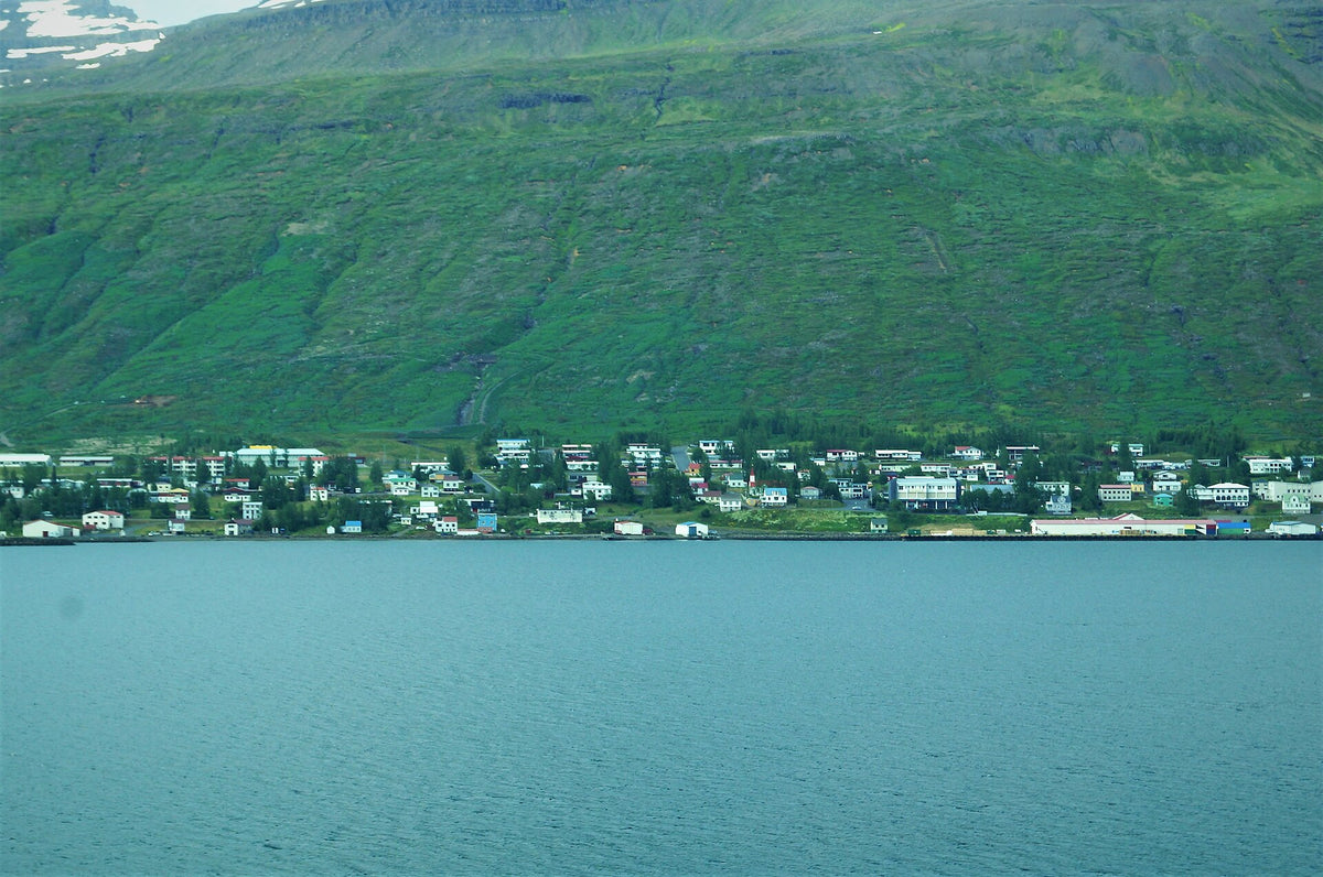 Il paese di Fáskrúðsfjörður visto dalla riva opposta del fiordo con montagne verdi