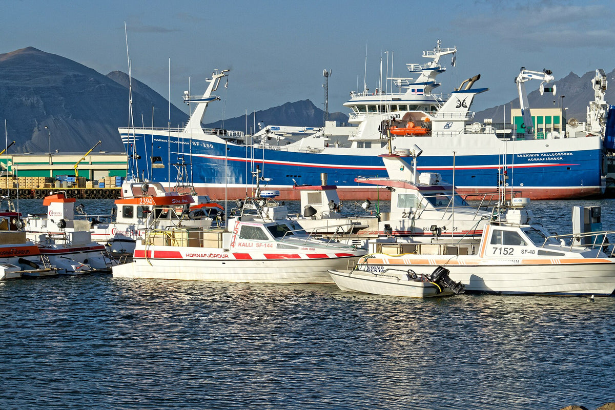 Porto di Höfn con pescherecci e barche e montagne sullo sfondo