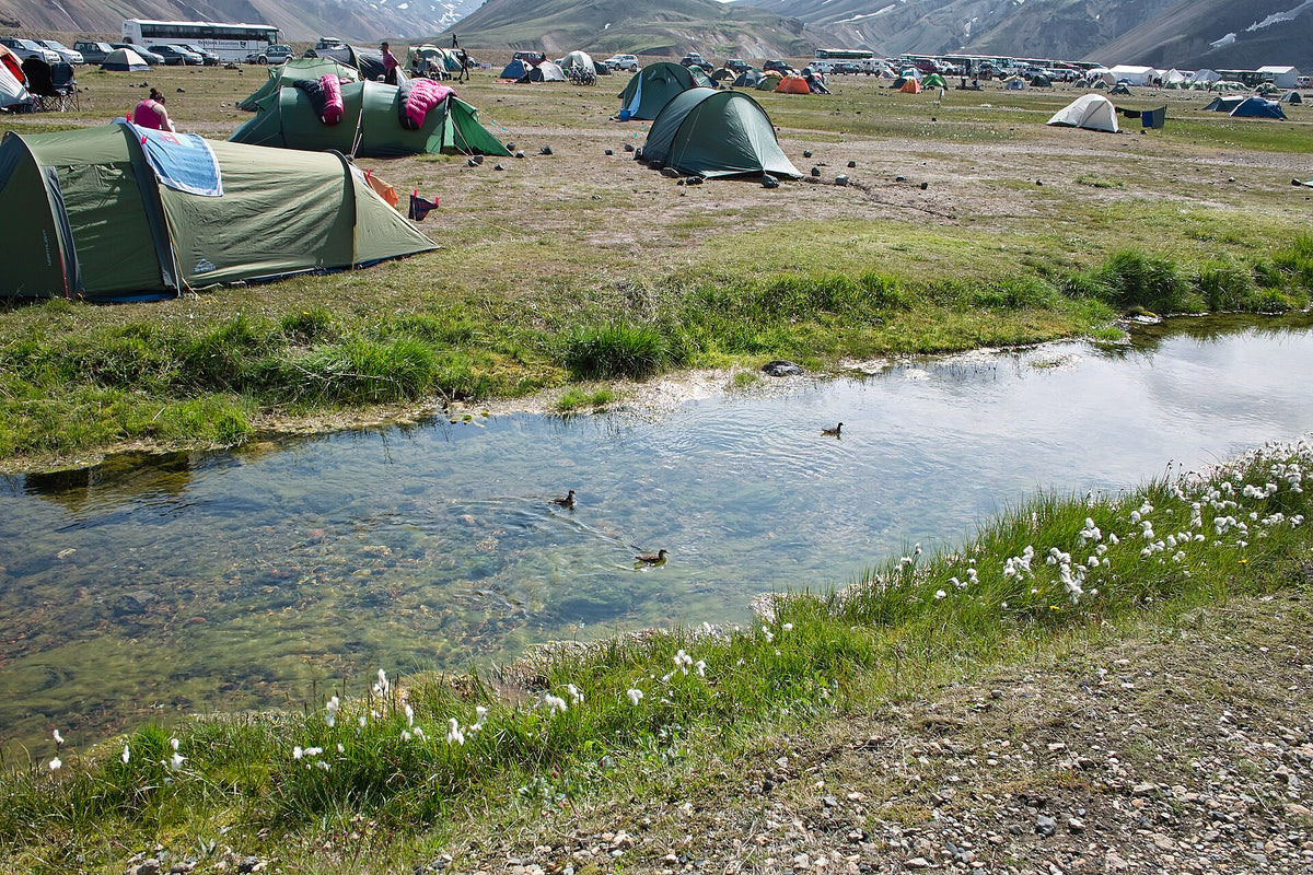 Tende del campeggio di Landmannalaugar vicino al torrente con erba e fiori