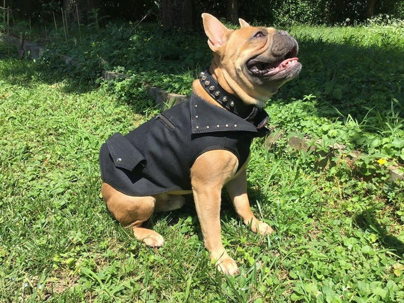 CHALECO PARA PERROS MODELO ETTORE 001 - VERDADERA ARTESANÍA -