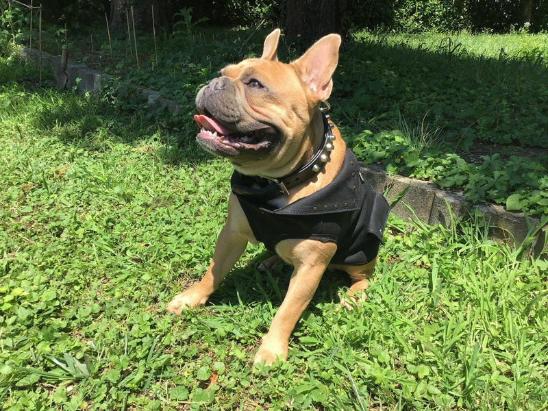 CHALECO PARA PERROS MODELO ETTORE 001 - VERDADERA ARTESANÍA -