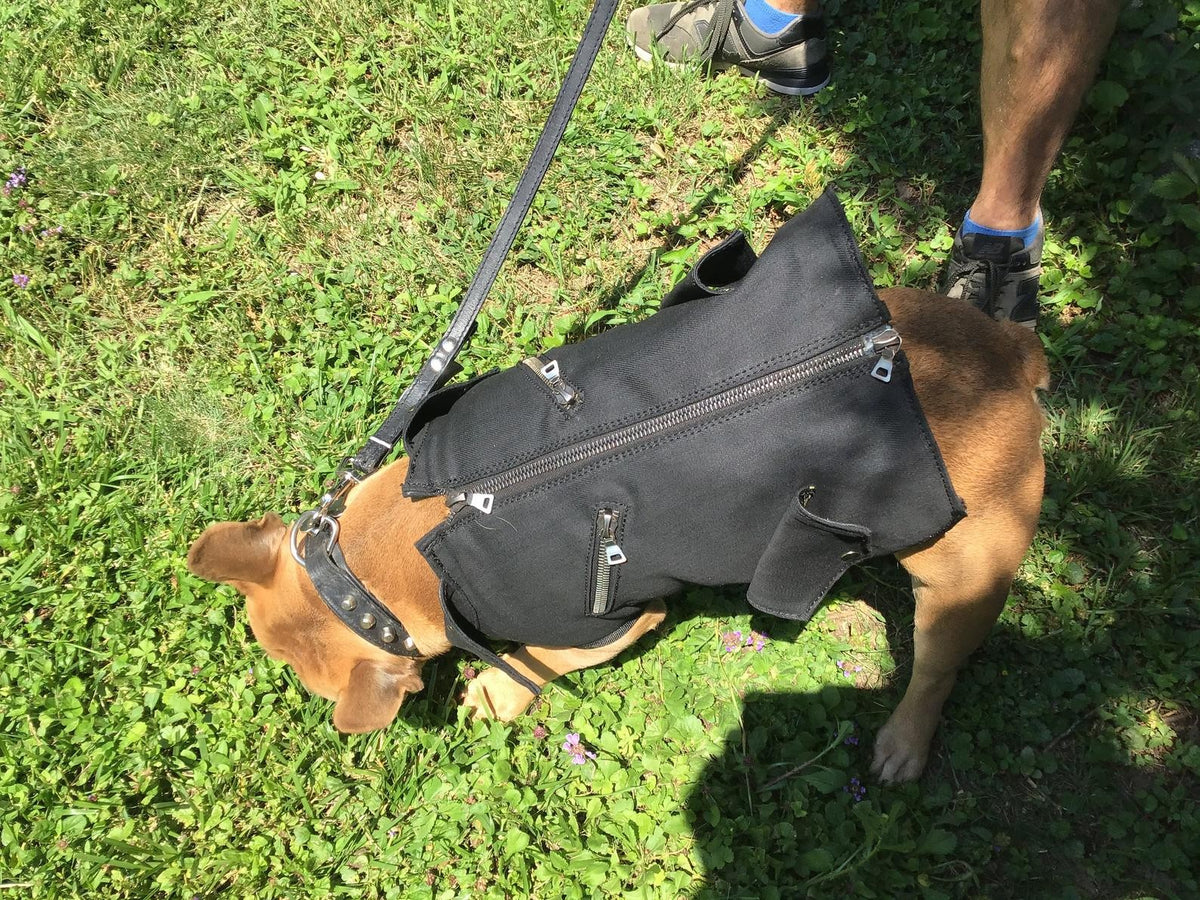 Gilet per cani modello ettore 001 - vero artigianato – immagine 4